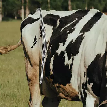 Устройство против удара, износостойкое, легкое, для доения на молочной ферме