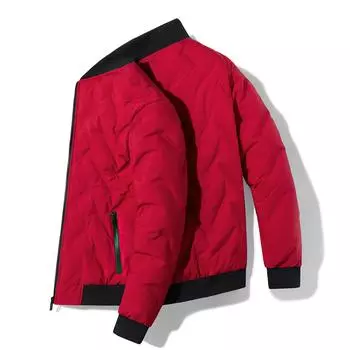 Утиный пух осень и зима новый стоячий воротник пуховик мужской модный и универсальный теплая одежда M