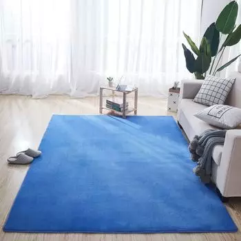 Утолщенный коралловый бархатный ковер напольный коврик коврик для двери входная дверь гостиная спальня ванная туалет кухня впитывающий коврик для ног 40 * 60Cm