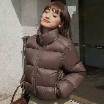 Утолщенный пуховик в стиле Кендо, женская короткая куртка 2024 года с воротником-стойкой, маленькая куртка из белого утиного пуха, европейские и американские пальто прилив S темно-коричневого