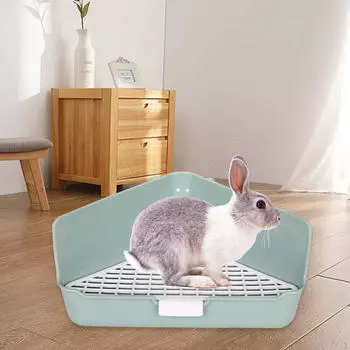 Уютный приют для мелких животных зелёный