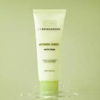 Увлажняющий крем Bring Green Artemisia Calming EX 100 мл