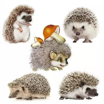 V1759 #Симпатичная наклейка с ежиком на автомобиль, виниловая наклейка, водонепроницаемые декоративные наклейки для автомобиля A-15cm-Longest Side