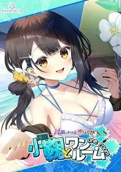 В комплект входят наволочки для подушек Setsuna no Koi Hanabi SS Komari и One Room Komari