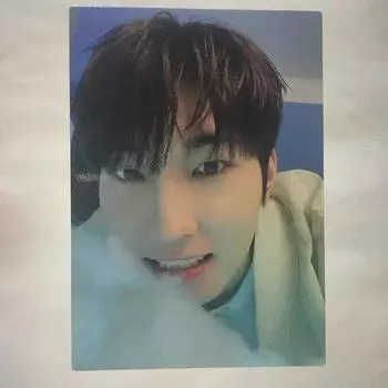 (в натуральной форме) Последняя цена Снижение Seventeen Japan Home Trading Card Wonwoo