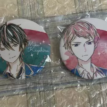 Valkyrie Anime Art Can Badge