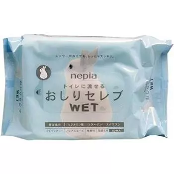 Value 10 Napia Oshiri Celebrity WET Refill Unscented 60 Pieces x 10 Sets [Value Sets]