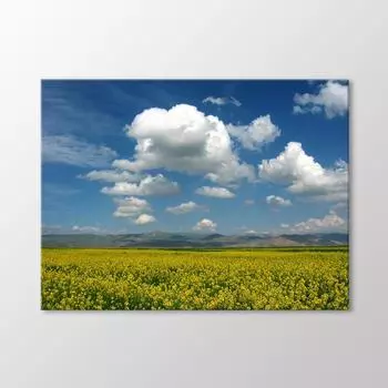 Ван Живопись