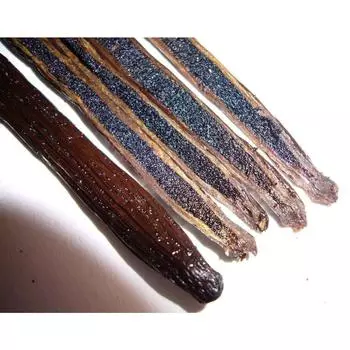 Ванильные бобы класса А (16-18см) Цельные ванильные стручки Gourmet Vanilla для экстракта ванили и выпечки 1kg