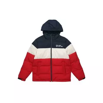 Vans Многоцветный пэчворк с капюшоном теплая куртка-пуховик для мужчин верхняя одежда VN0A4BQ7FTZ XS