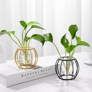 Ваза 1 шт. стеклянные украшения гидропоника Pothos вода гостиная украшение офисный настольный цветочный аранжировщик чёрный