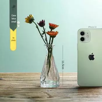 Ваза из ретро-стекла в стиле инфлюенсера для гидропонных цветов, декор для гостиной или обеденного стола
