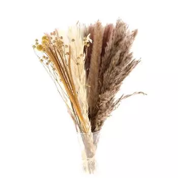 Ваза Свадебный Декор Набор Натуральный Сушеный 70 Штук для Бохо Пампас Букет