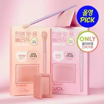 VDL Румяна для пятен на щеках (+Кисть специальная/отдельная вещь) 07 Misty Apricot (+Brush Planning)