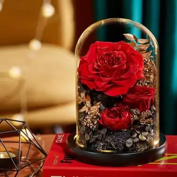 Вечный цветок розы Стеклянная крышка со светодиодной подсветкой Деревянное основание Сохраненный цветок розы Настоящий стеклянный купол бесконечности Жена Подруга Жена Подарок на День святого Валентина зелёный