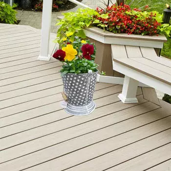 Ведро с точками для дизайна растений в саду Small