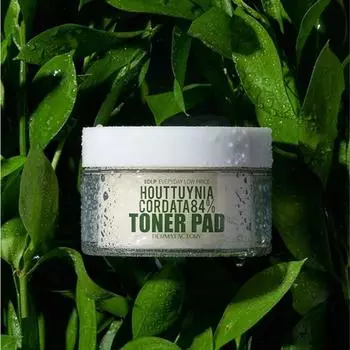 [Vegan Certified] Derma Factory EDLP Houttuynia cordata 84% toner pad 150ml/30 sheets, 30 sheets, 1 piece