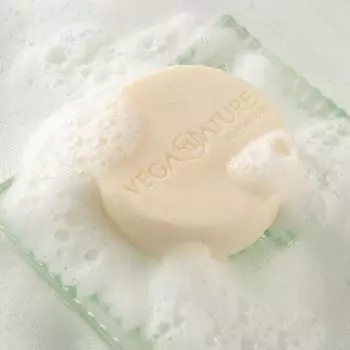 Vegan Nature Scalp Fever Scalp Itchiness Scalp Pimples Vegan Shampoo Bar Citrus Fragrance 100g, 1 piece