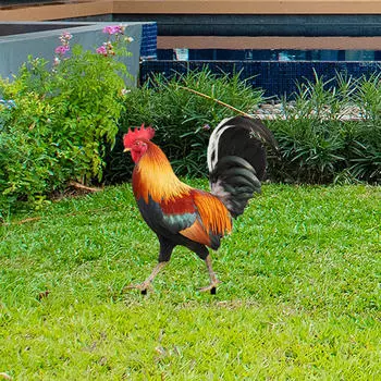 Величественная металлическая садовая скульптура петуха для наружного декора 25x10.8x0.1cm