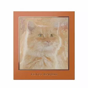 Venus Marble Eye Shadow Cat Series Tabby 1 piece (Brown Cat) (x 1)