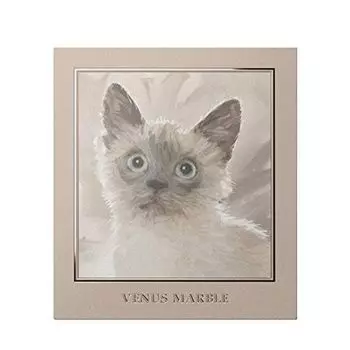 Venus Marble Eyeshadow Cat Series 1 piece (Siamese Cat)