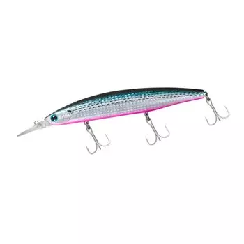 Верхний комплект DAIWA Shoreline Shiner Z 145S-DR