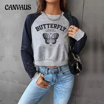 Весенне-осенняя женская блузка с цветными блоками, короткий пуловер с круглым вырезом, топ с длинными рукавами XS серо голубой