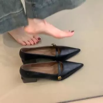 Весенние женские туфли Мэри Джейн в стиле ретро с острым носком, модные повседневные туфли на толстом каблуке EU39/CN40 чёрный