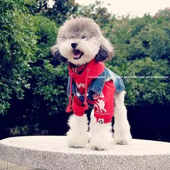 Весенний джинсовый жилет для собак Ши-тцу Одежда для маленьких собак Йоркширский терьер Джинсовая куртка для щенков Чихуахуа Одежда для кошек XS