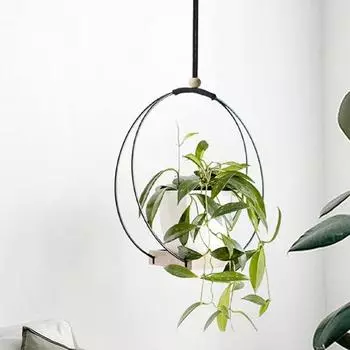 Вешалка для растений с гладкими краями, декоративная широко используемая привлекательная подвесная подставка для растений, стеллаж для хранения цветочного горшка, бытовые принадлежности чёрный
