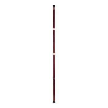 VESSEL Bezel Golf Practice Equipment Carbon Alignment Stick Set of 2 Original Product (красный) [Продукт] красный