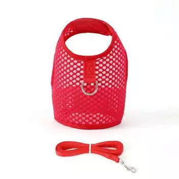 Vest type cat leash anti-break free special cat chest strap adjustable pet breathable cat leash S (recommended weight 1-2 kg)