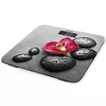 Весы напольные Vitek Vt-8084 mc