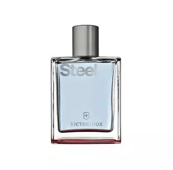 Victorinox Swiss Army Steel туалетная вода 100 ml