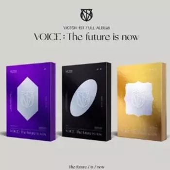 ВИКТОН - 1-й [ГОЛОС : Будущее уже наступило] Случайно 0