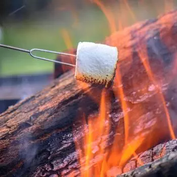 Вилка для барбекю телескопическая U-образная походная утварь для барбекю палочки для жарки на открытом воздухе инструмент для домашней кухни принадлежности для барбекю CHINA