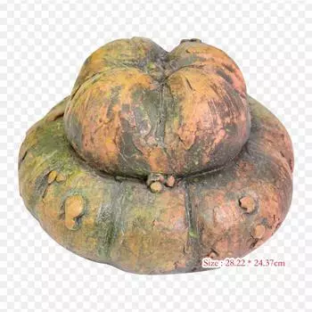 Виниловые нашивки для зимнего сквоша Cucurbita с термопереносной печатью, наклейки для одежды, аппликации «сделай сам», моющиеся нашивки