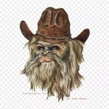 Виниловые нашивки с длинными рукавами и термопереносной печатью для собак, наклейки для одежды, аппликации «сделай сам», моющиеся нашивки