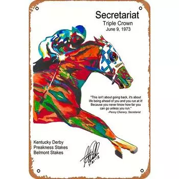 Vintage Metallplatte Sekretariat rechteckiges Eisengemlde Wanddekoration fr Ba