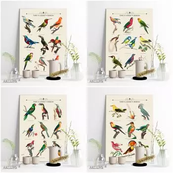 Винтажная художественная серия выставок садовых птиц, эстампы, плакаты, иллюстрации животных, винтажная картина маслом 21cm30cm NoFrame