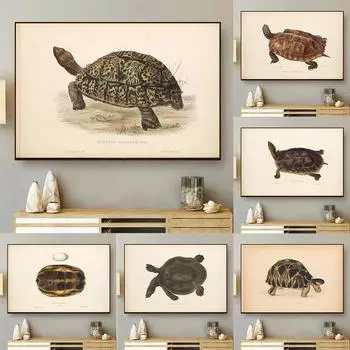 Винтажная картина на холсте с черепахой, ретро постеры и принты с морской черепахой, настенное искусство с животными для гостиной, домашний декор, Cuadros 20cm40cm No Frame