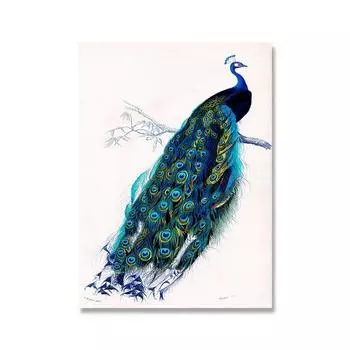 Винтажная картина на холсте с павлином, современное животное, скандинавский плакат с принтом, иллюстрация птицы, настенные художественные фотографии, домашний декор для гостиной 21*30cm