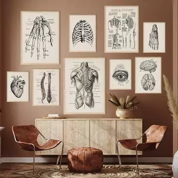 Винтажная картина по анатомии человека, медицинская настенная картина, постер с мышцами и скелетом, холст, художественный принт, образование, больничная, аптека, картины 21cm30cm NoFrame