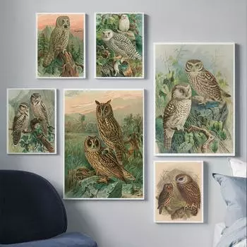 Винтажное искусство Сова Холст Картина Гостиная Настенное Искусство Животный Пейзаж Плакат Спальня Коридор Домашнее украшение Фреска Без Рамки 21*30cm