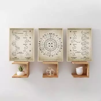 Винтажное настенное искусство с научным кодом, картины на холсте, биохимия, подарки, декор, постеры, наука, ДНК, ДНК и RNINE 21x30cm No Framed