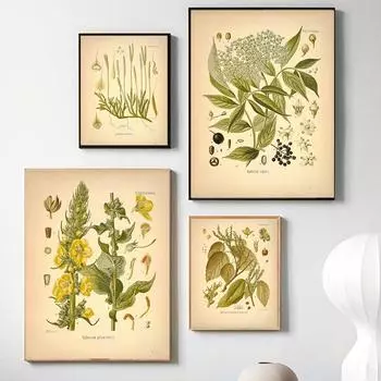 Винтажные ботанические растения, холст, картина для гостиной, плакаты с лекарственными травами и принты, настенные картины для кухни, домашний декор 21cm30cm NoFrame