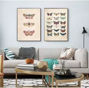 Винтажные принты с бабочками, насекомые, природа, детский образовательный плакат, настенные художественные фотографии для детской комнаты, картина на холсте, украшение для детской комнаты, без рамки 21*30cm
