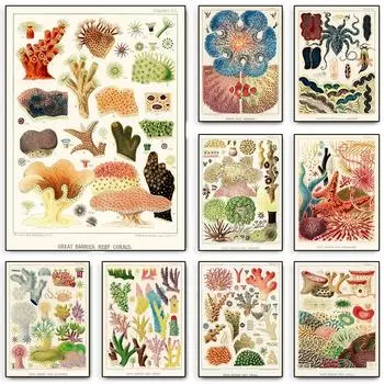Винтажный австралийский морской пейзаж Уильяма Сэвилла-Кента, постер с изображением кораллового рифа, морских иглокожих, рыб, холст, настенная живопись, декор для комнаты, домашний декор 21cm30cm NoFrame