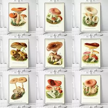 Винтажный образец гриба, холст, картина, античная настенная живопись, травяные картины, научные постеры и принты, декор для дома и офиса, куадрос 21x30cm No Frame