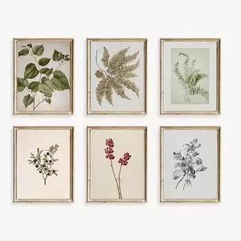 Винтажный папоротник, настенное искусство, нейтральный ботанический постер и принт, пион, фермерский дом, холст, картина, украшение для дома, Настенная картина, Декор, искусство 21x30cm No Frame